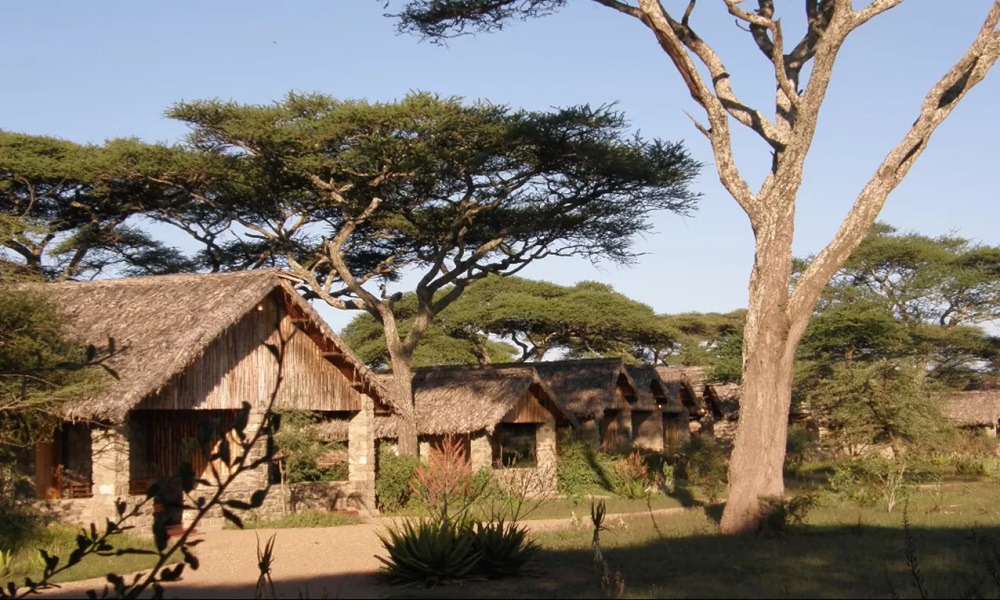 Ndutu Under Canvas