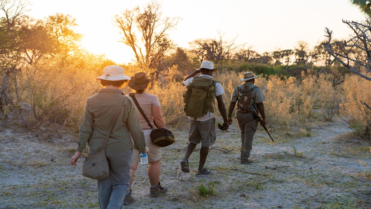 Walking safari