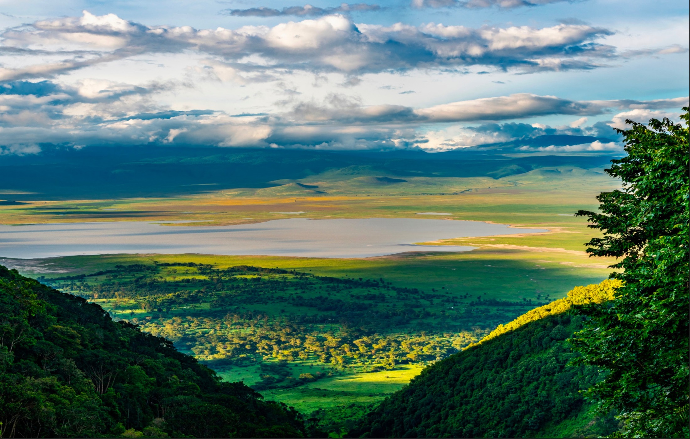 Ngorongoro Crater